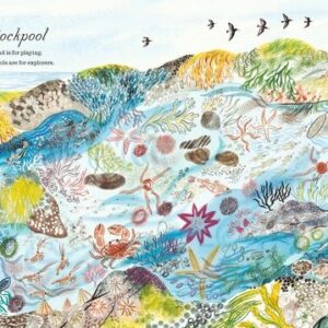 A First Book of the Sea by Nicola Davies - Image 4