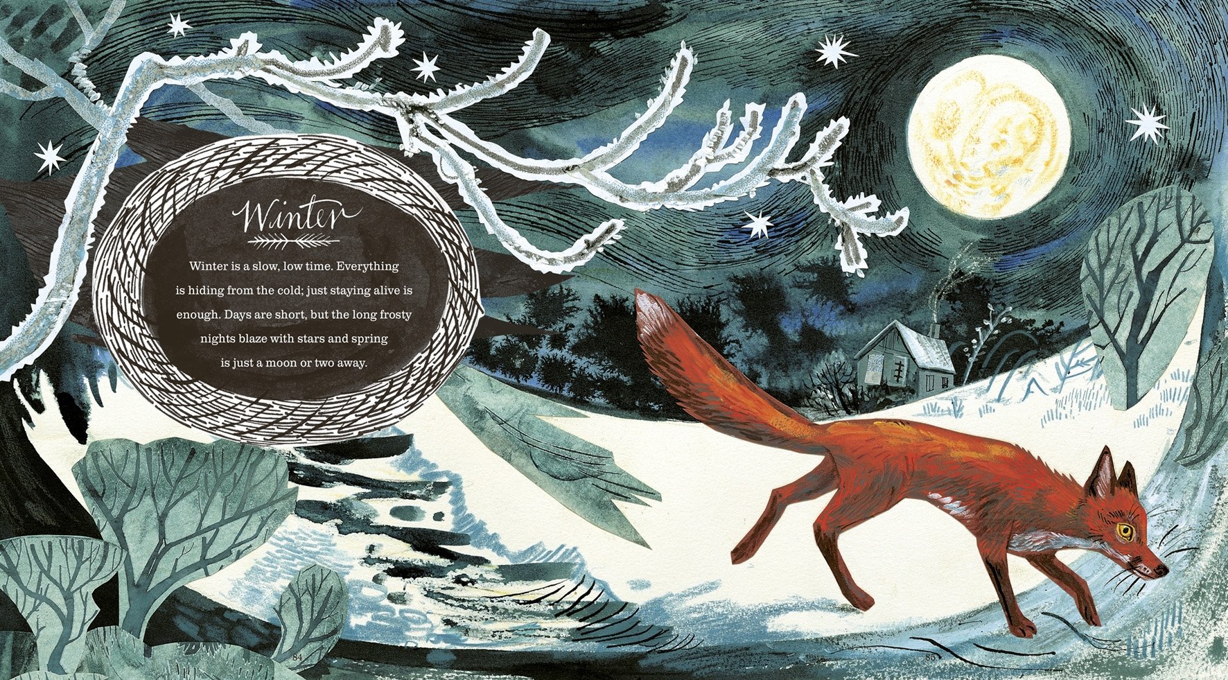 A First Book of Nature by Nicola Davies - Image 3