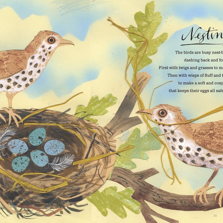 A First Book of Nature by Nicola Davies - Image 2