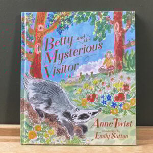 Betty and the Mysterious Visitor by Anne Twist - Image 1
