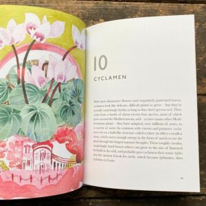 The Book of Garden Flowers by Christopher Stocks & Angie Lewin - Image 2
