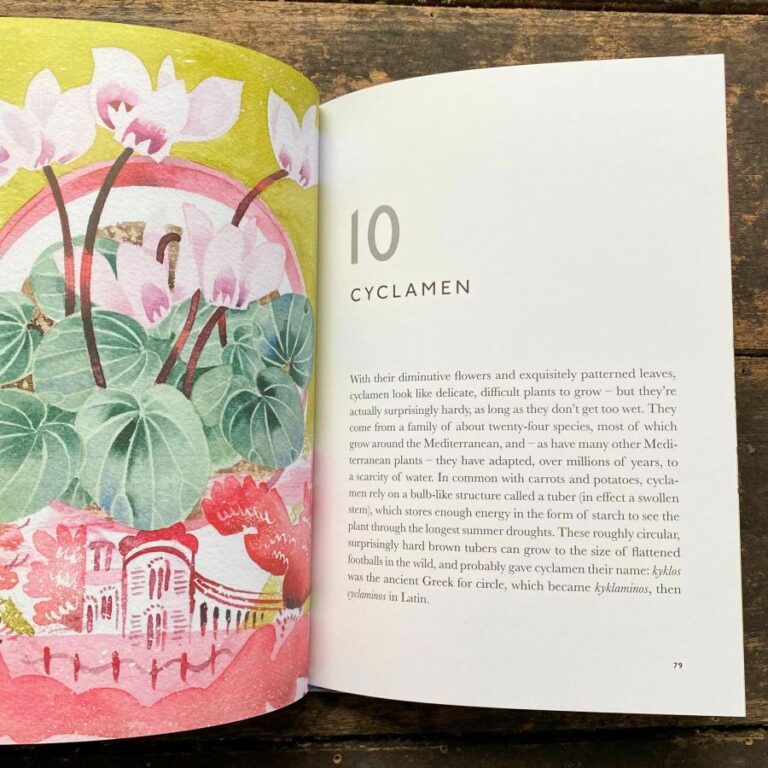 The Book of Garden Flowers by Christopher Stocks & Angie Lewin - Tinsmiths