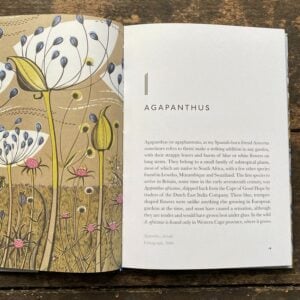 The Book of Garden Flowers by Christopher Stocks & Angie Lewin - Image 4