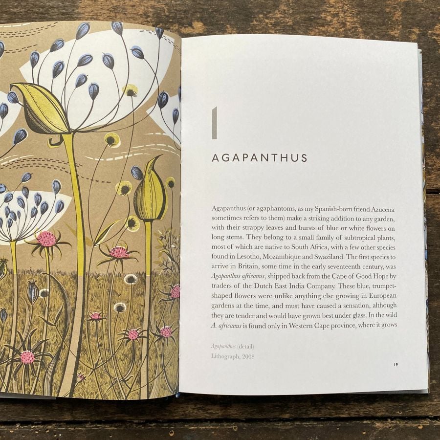 The Book of Garden Flowers by Christopher Stocks & Angie Lewin - Image 4