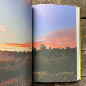 Cabin by Will Jones - Image 3