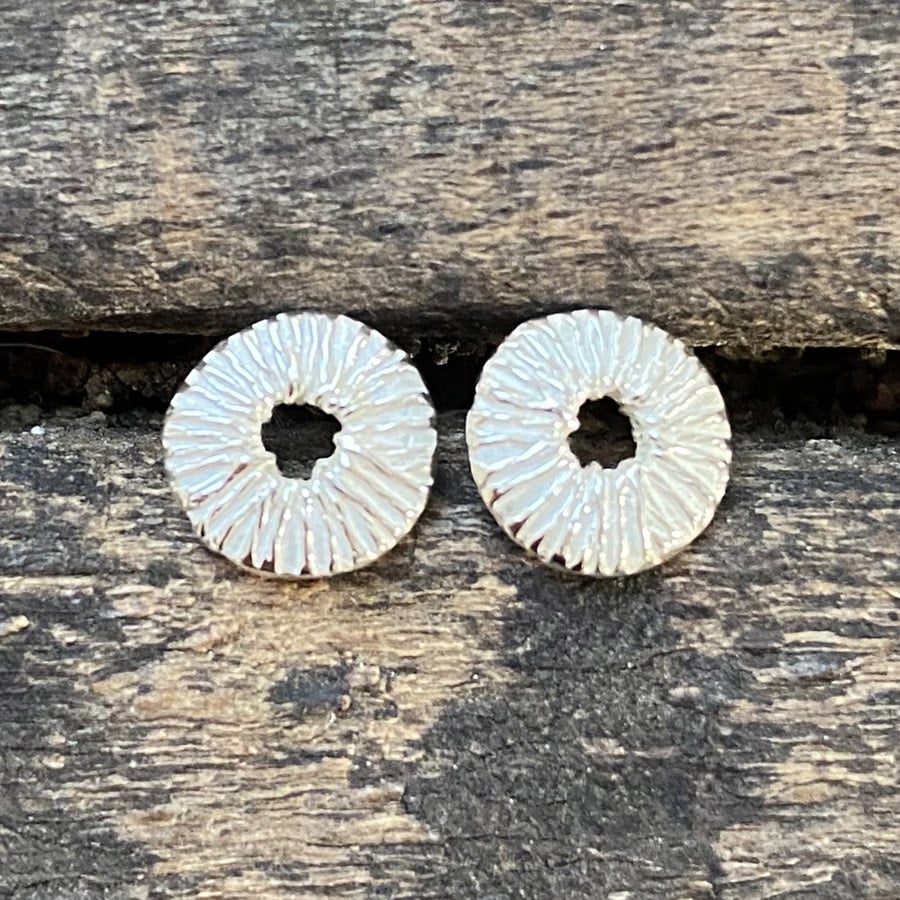 Silver Disc Earrings CDLT /19