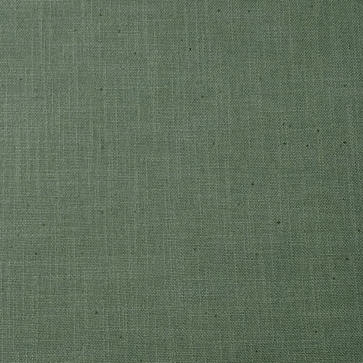Chester Fern Green - Image 2