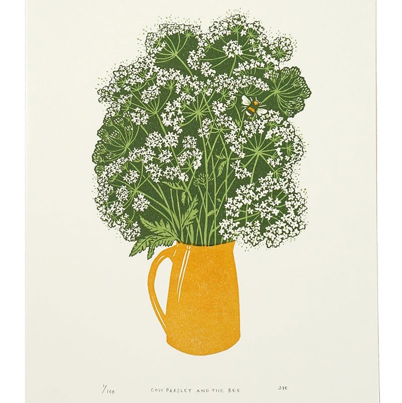 Cow Parsley and the Bee by Sophie Elm