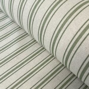 Extra Wide Hendrick Stripe- Spring Green
