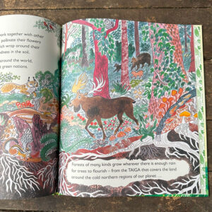 Green, The Story of Plant Life on Our Planet by Nicola Davies - Image 3