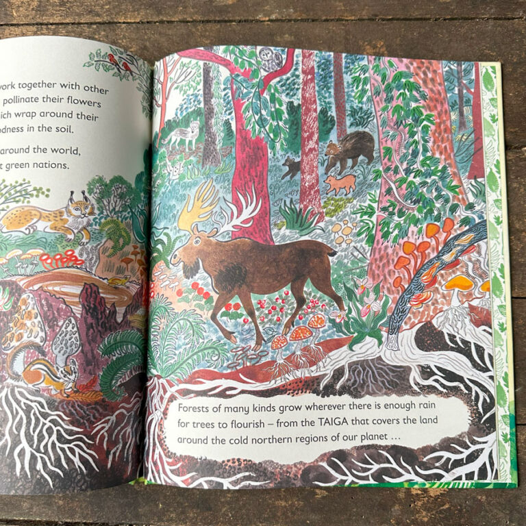 Green, The Story of Plant Life on Our Planet by Nicola Davies - Tinsmiths