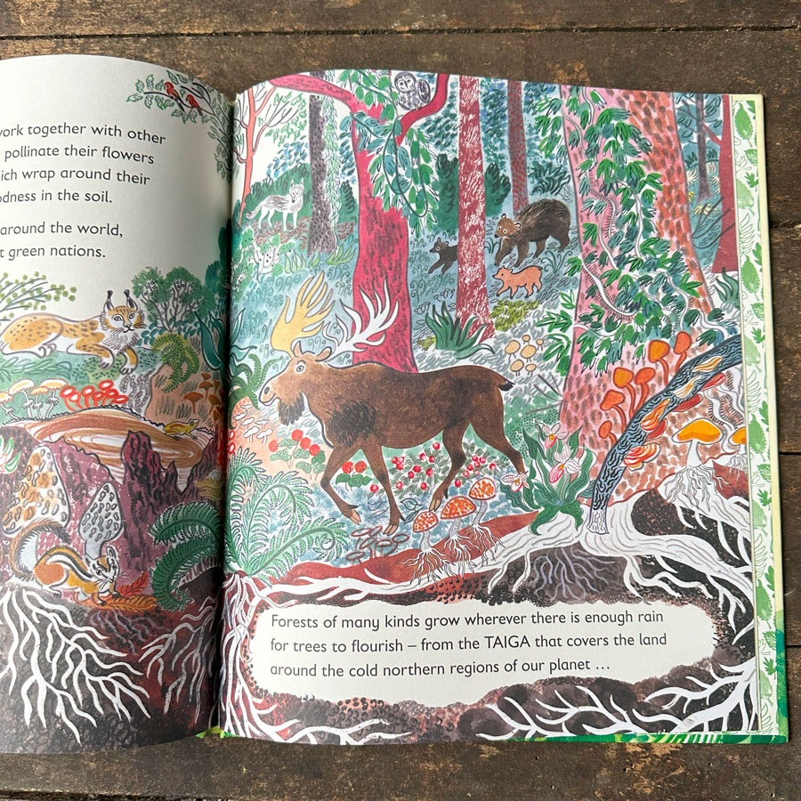 Green, The Story of Plant Life on Our Planet by Nicola Davies - Image 3