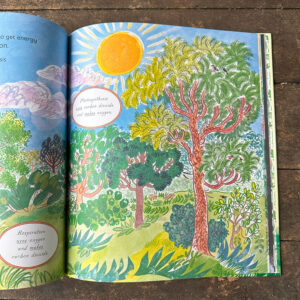 Green, The Story of Plant Life on Our Planet by Nicola Davies - Image 4