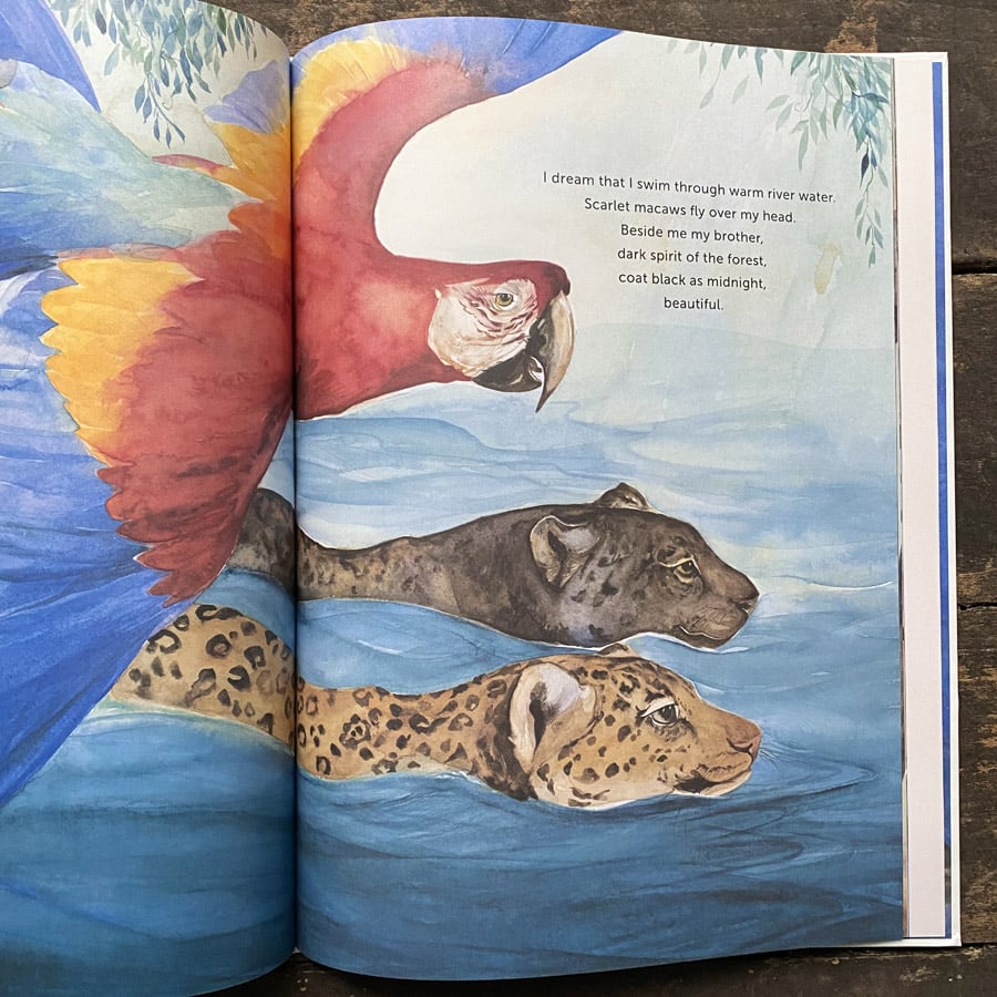 I Am Cat by Jackie Morris - Image 5