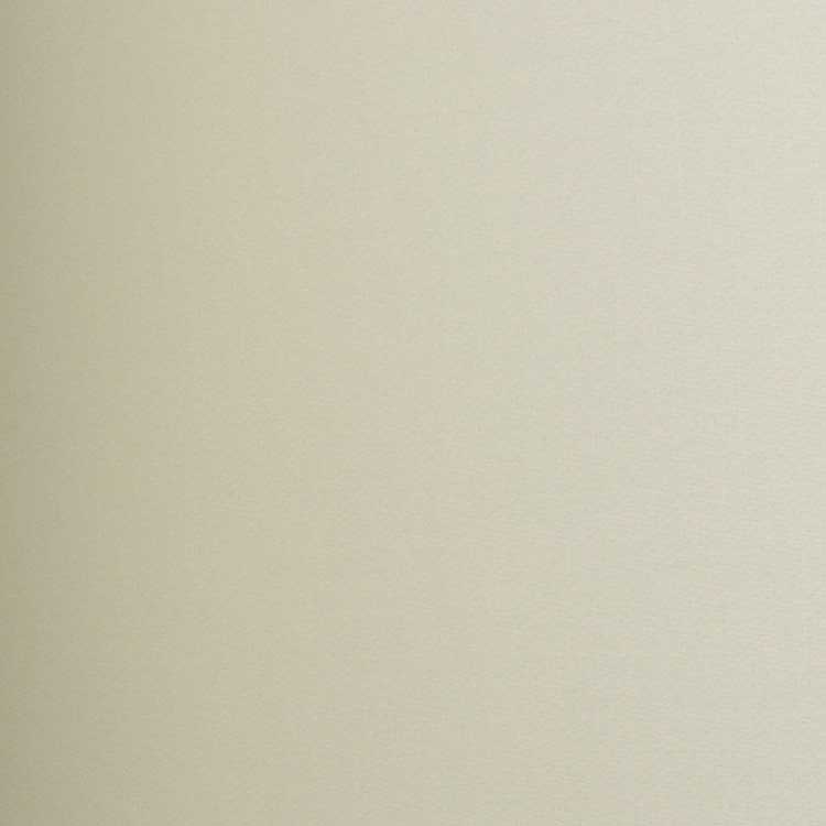 Cotton Lining - Ivory - Image 2
