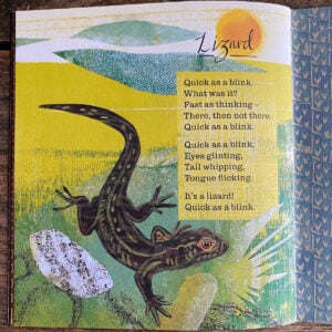 Animal Poems - Nicola Davies & Mark Hearld - Image 5