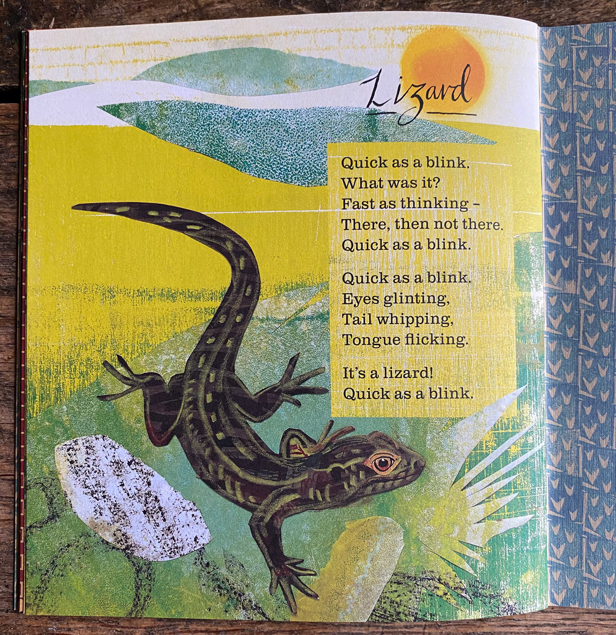 Animal Poems - Nicola Davies & Mark Hearld - Image 5