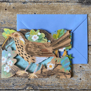 Mark Hearld Fold out Card - Nest - Image 2