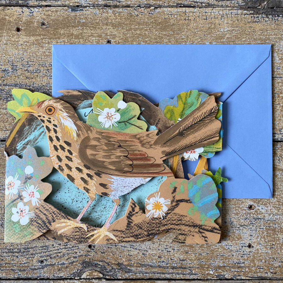 Mark Hearld Fold out Card - Nest - Image 2