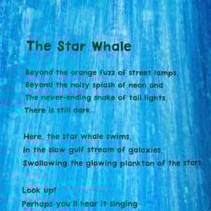 The Star Whale by Nicola Davies and Illustrated by Petr Horáček - Image 3