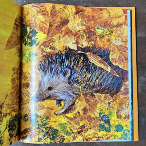 The Star Whale by Nicola Davies and Illustrated by Petr Horáček - Image 2