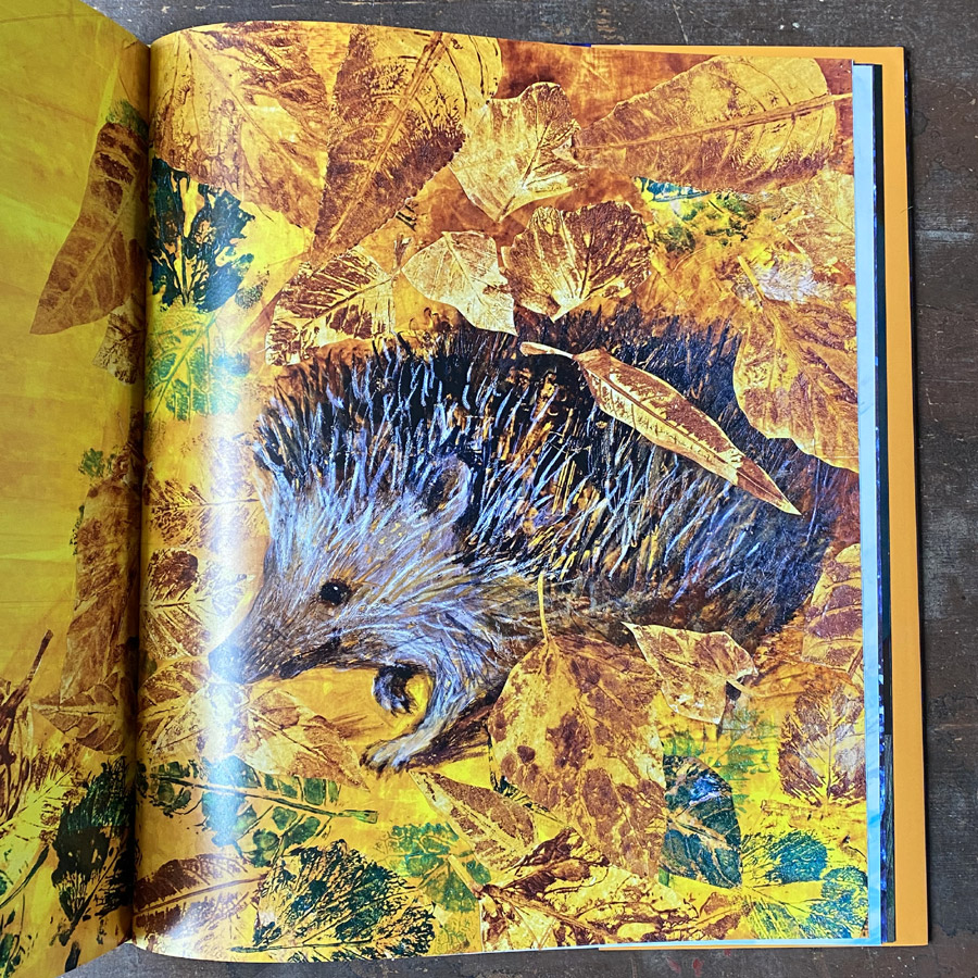 The Star Whale by Nicola Davies and Illustrated by Petr Horáček - Image 2