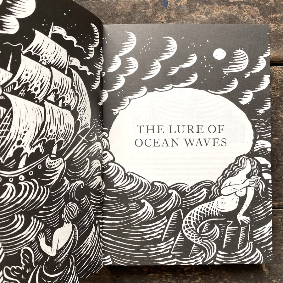 The Treasury of Folklore: Waterlands, Wooded Worlds and Star Skies by Dee Dee Chainey & Willow Winsham - Image 2