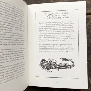 The Treasury of Folklore: Waterlands, Wooded Worlds and Star Skies by Dee Dee Chainey & Willow Winsham - Image 3