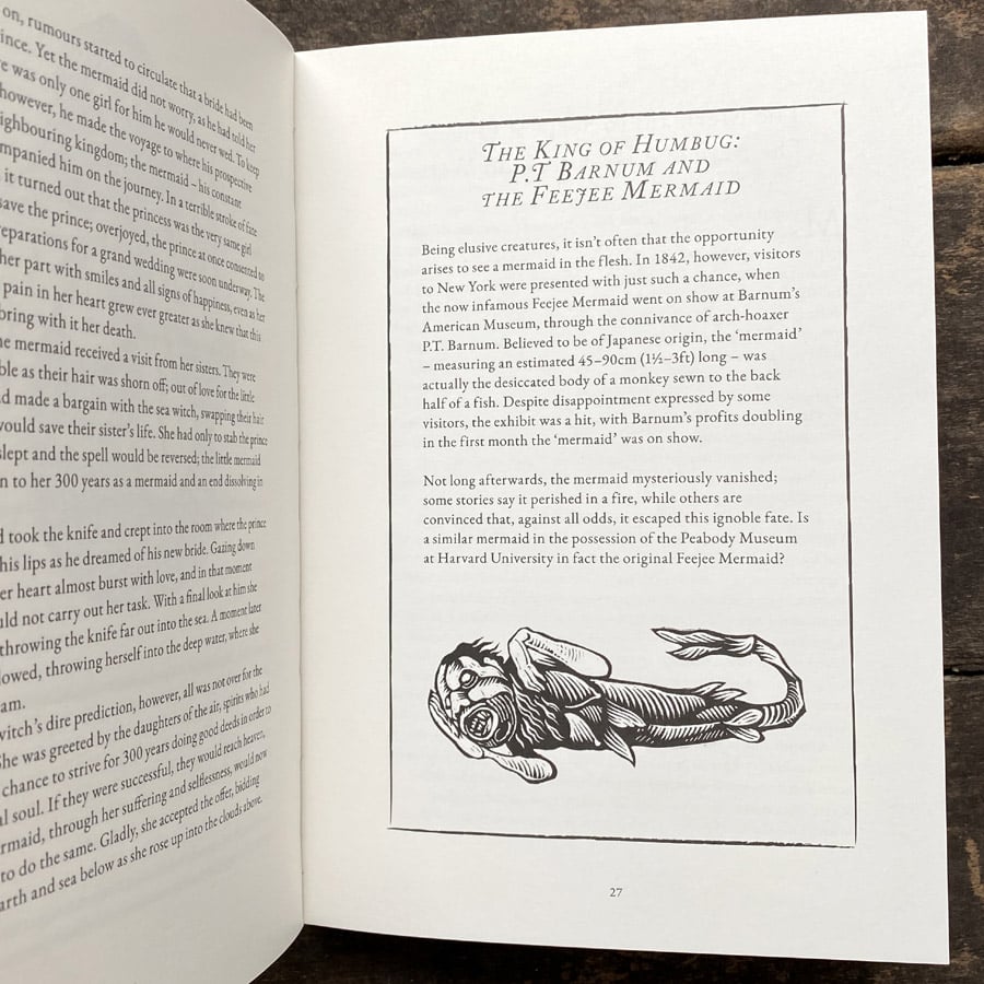 The Treasury of Folklore: Waterlands, Wooded Worlds and Star Skies by Dee Dee Chainey & Willow Winsham - Image 3