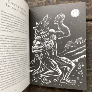 The Treasury of Folklore: Waterlands, Wooded Worlds and Star Skies by Dee Dee Chainey & Willow Winsham - Image 4