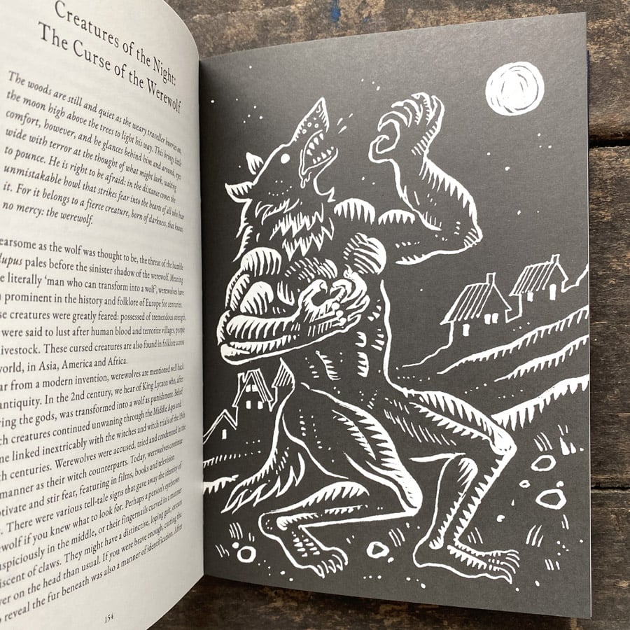 The Treasury of Folklore: Waterlands, Wooded Worlds and Star Skies by Dee Dee Chainey & Willow Winsham - Image 4