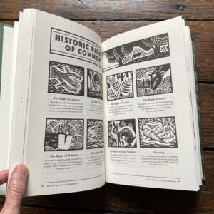 The Trespasser's Companion by Nick Hayes - Image 2