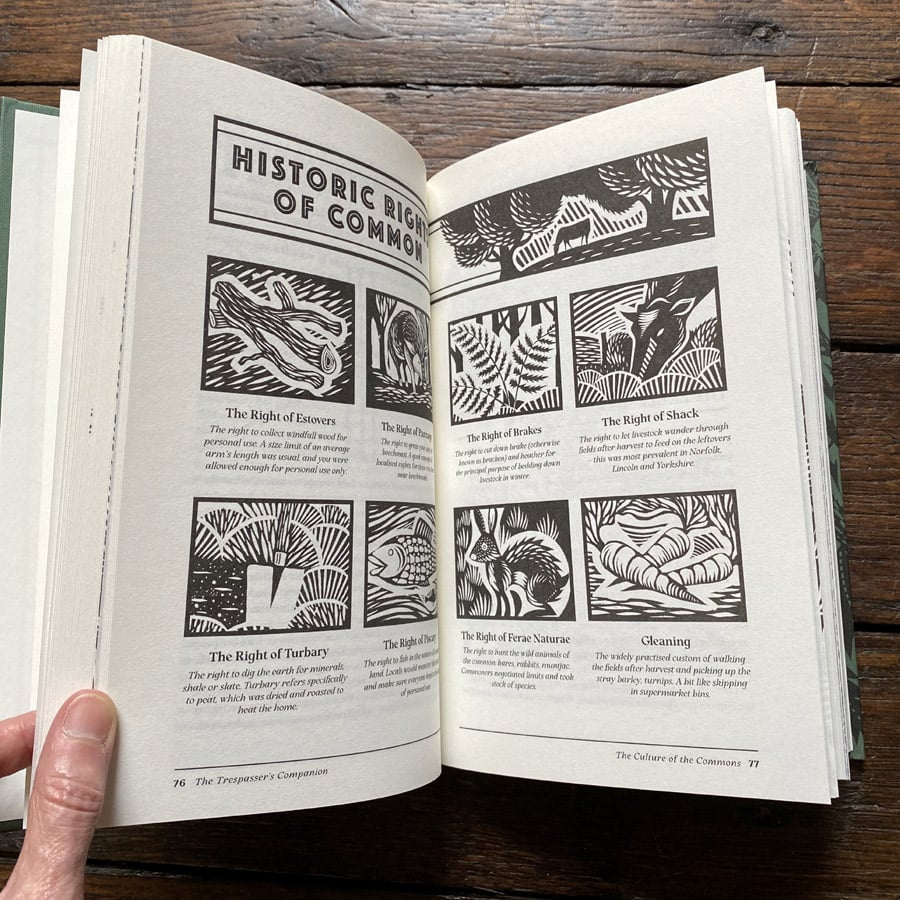 The Trespasser's Companion by Nick Hayes - Image 2