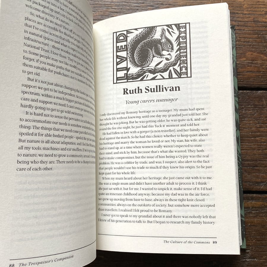 The Trespasser's Companion by Nick Hayes - Image 3