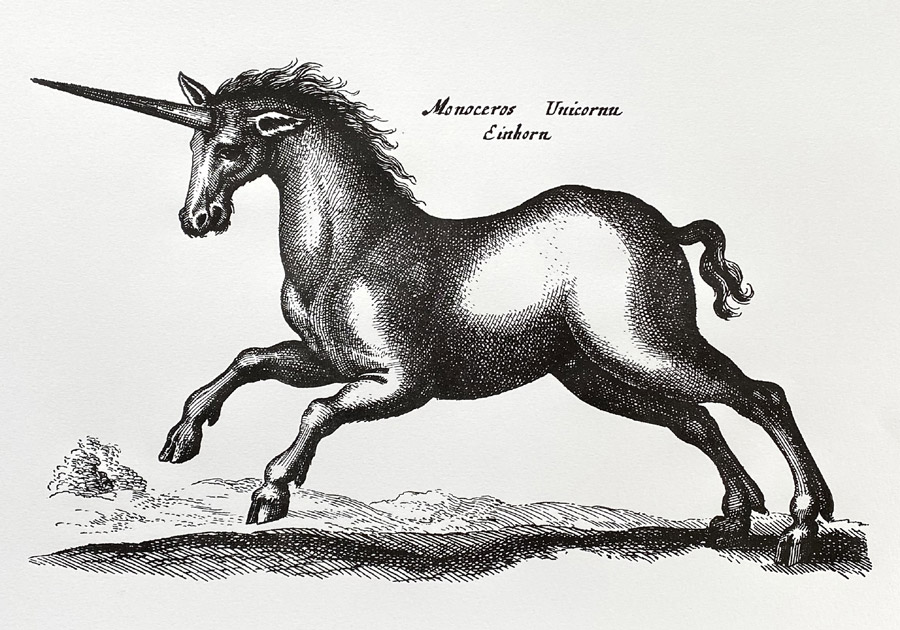 Unicorn Print - Image 3