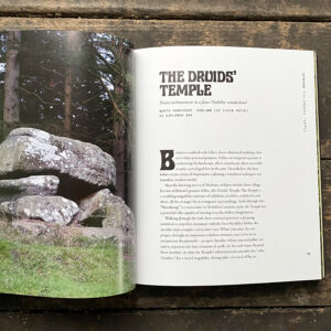 Weird Walk - Image 5