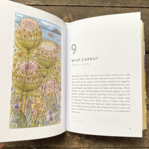 The Book of Wildflowers by Christopher Stocks and Angie Lewin - Image 3