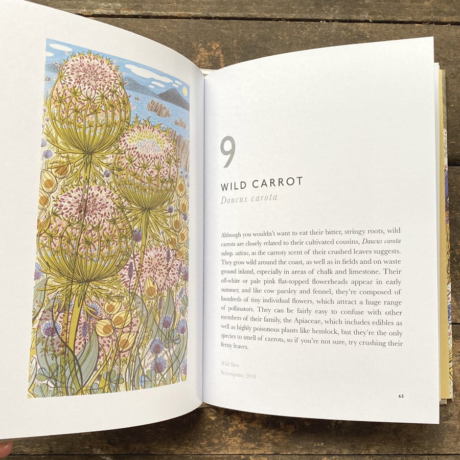 The Book of Wildflowers by Christopher Stocks and Angie Lewin - Image 3