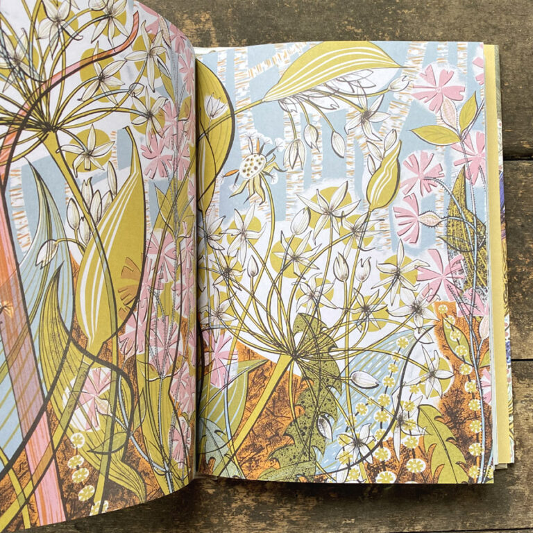 The Book of Wildflowers by Christopher Stocks and Angie Lewin - Tinsmiths