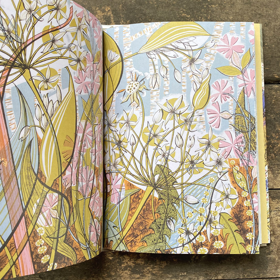 The Book of Wildflowers by Christopher Stocks and Angie Lewin - Image 4