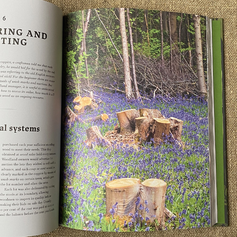 Traditional Woodland Crafts by Ray Tabor - Image 2