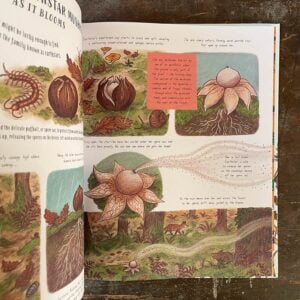 Slow Down And Be Here Now by Laura Brand - Image 2