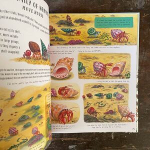 Slow Down And Be Here Now by Laura Brand - Image 4