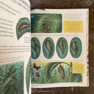 Slow Down And Be Here Now by Laura Brand - Image 3