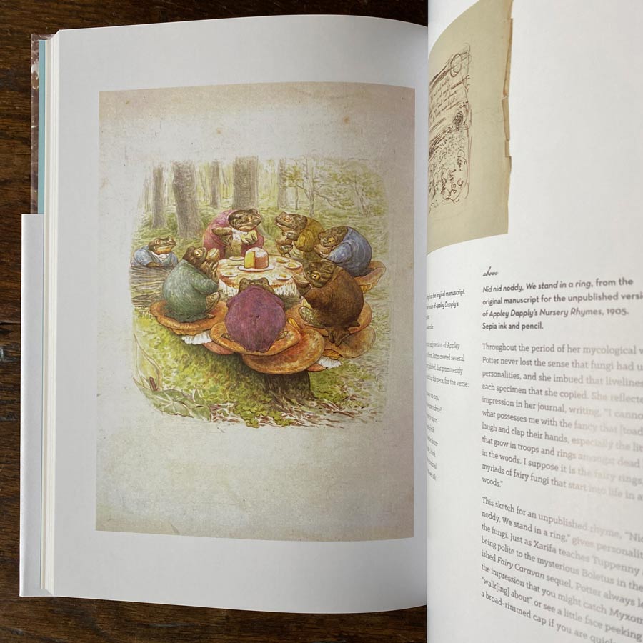 The Art of Beatrix Potter: Sketches, Paintings and Illustrations - Image 3