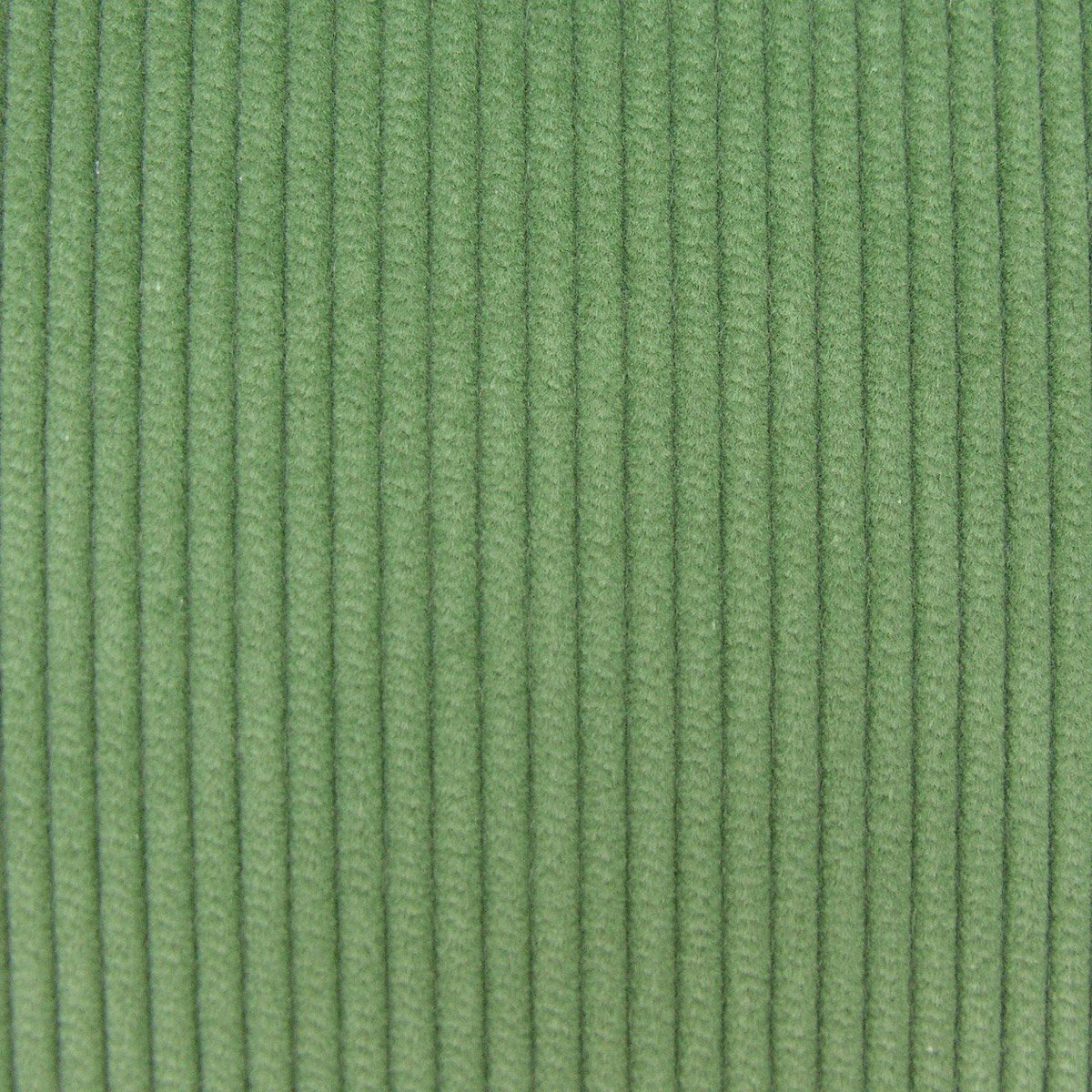 Corduroy - Hall Green - Image 2