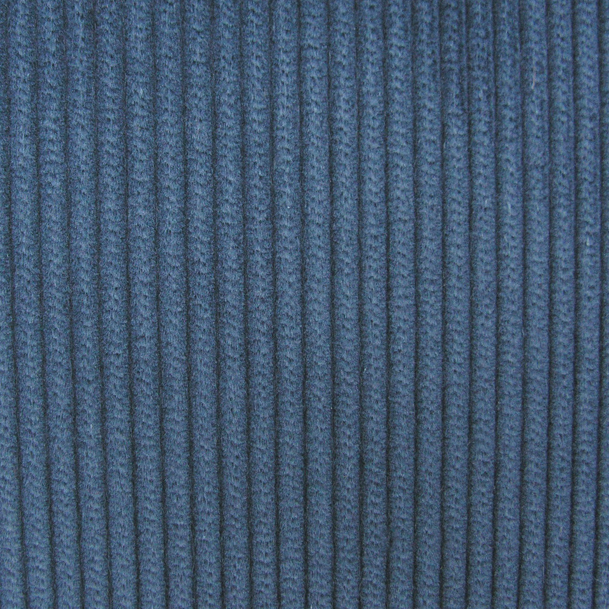 Corduroy - Royal - Image 2