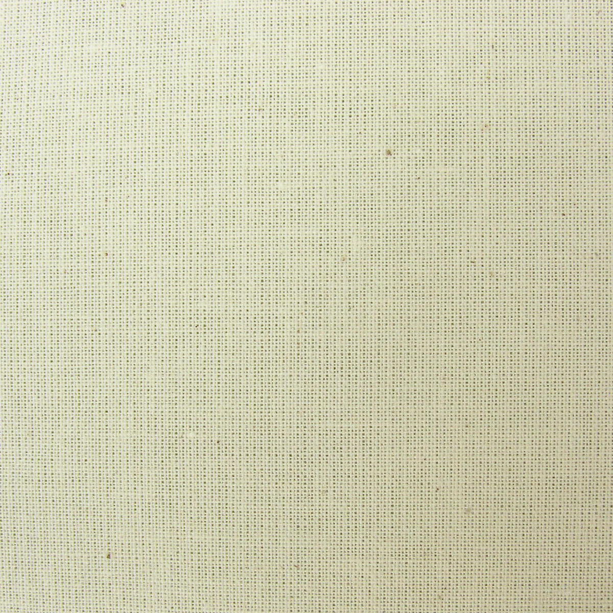 Cotton Calico - Ivory - Image 2