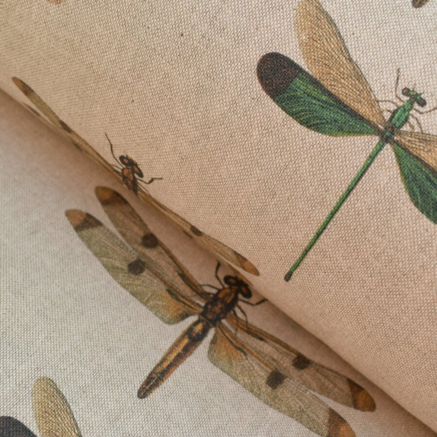 Dragonflies - Image 1