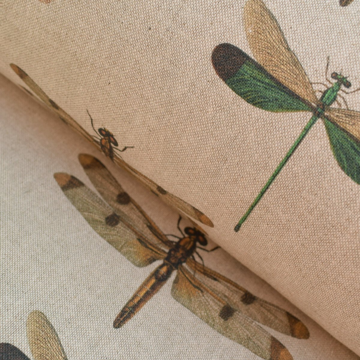 Dragonflies - Image 1